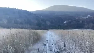 名残ヶ原